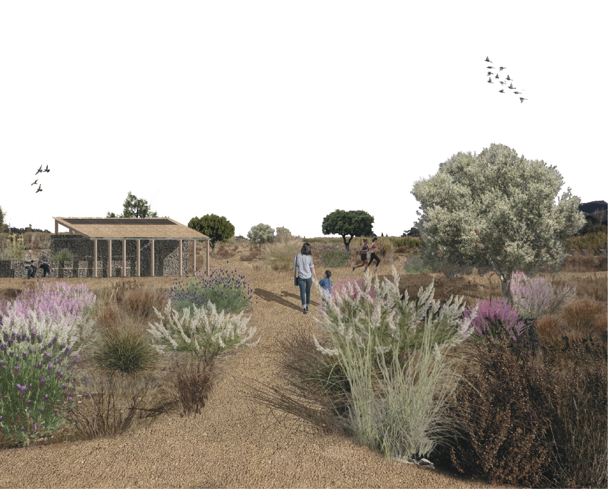 STUDY PROGRAMM-11.webp